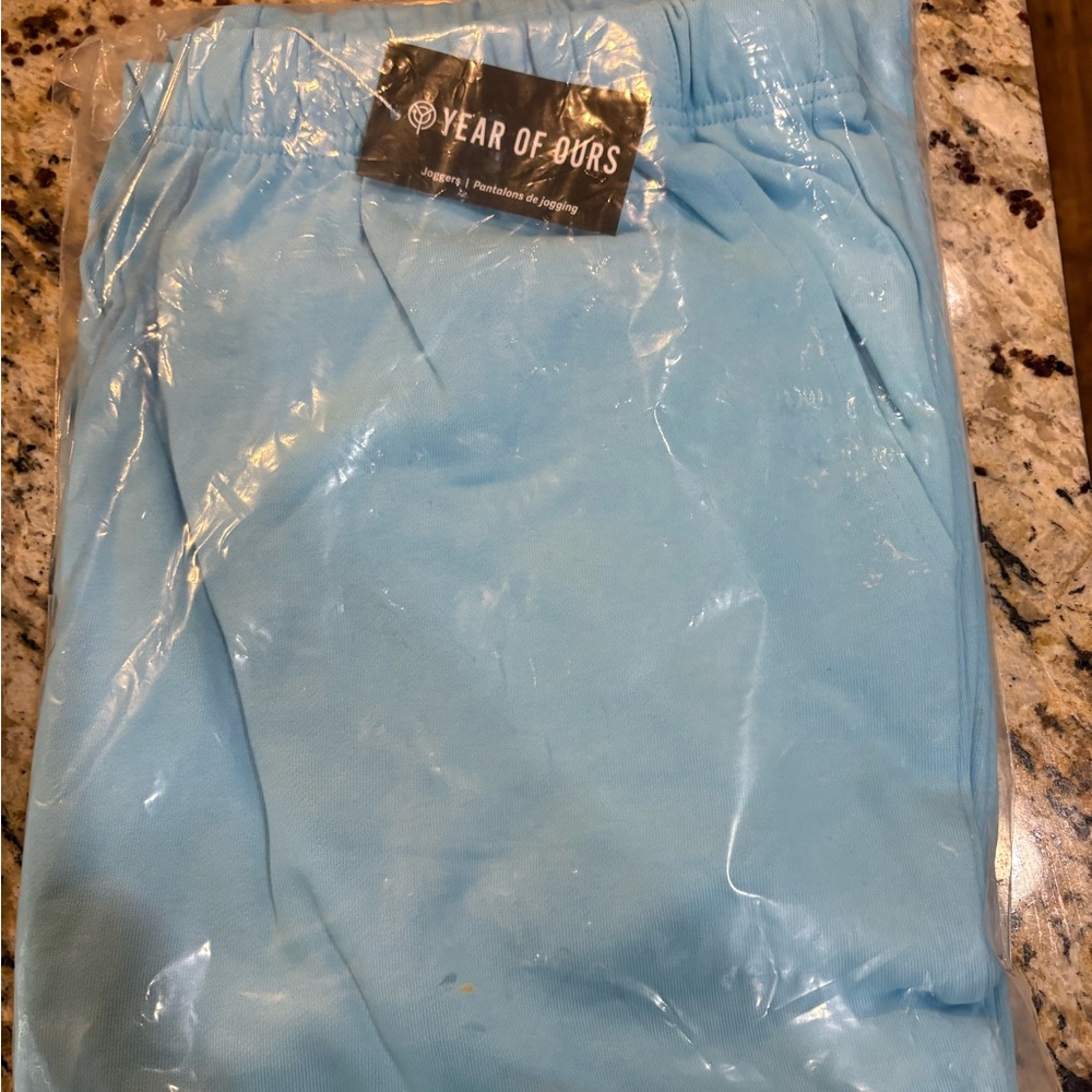 Year of Ours women’s  Pale Blue Jogger Pants